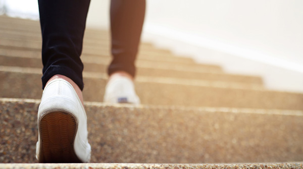 October to December 2023 Walking Group Dates